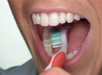 Brushing 3 Brushing 3
