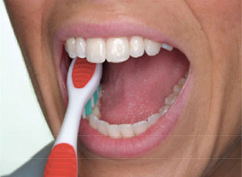 Brushing 4 Brushing 4
