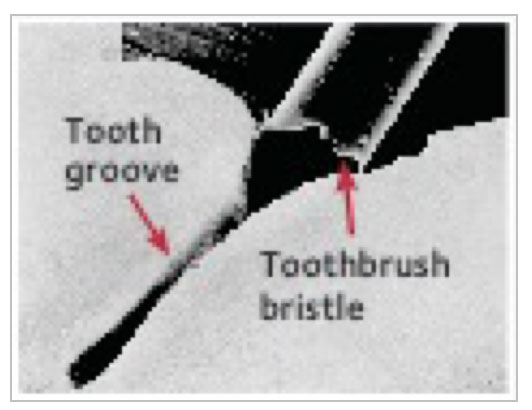 Rock Kids Dental Rock Kids Dental
